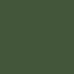 Гипсокартон (с различными видами отделки и покрытия) RAL 6003 Оливково-зелёный